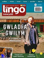 Lingo Newydd